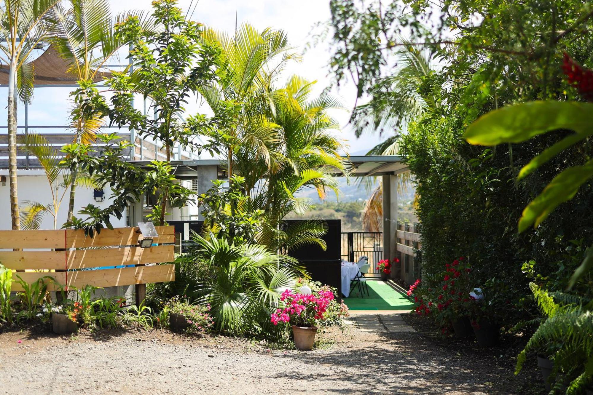 Eclats D'Etoiles - Rooftop - Piscine - By Sister Home Saint Pierre Esterno foto